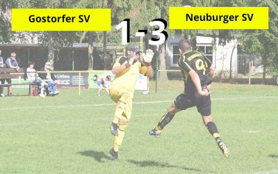 Auswärtssieg in Gostorf