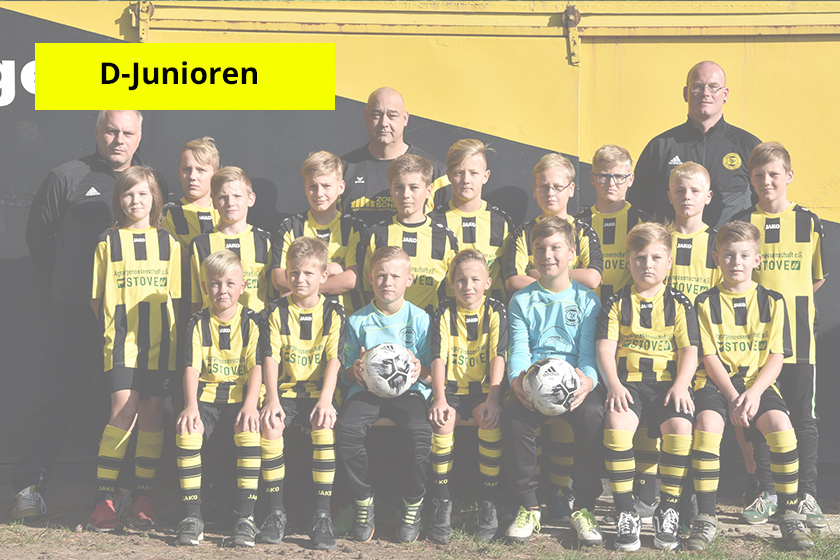 Bronze für die D-Junioren
